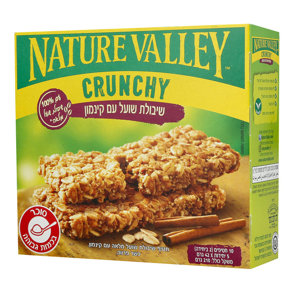 Oat Bar with Cinnamon