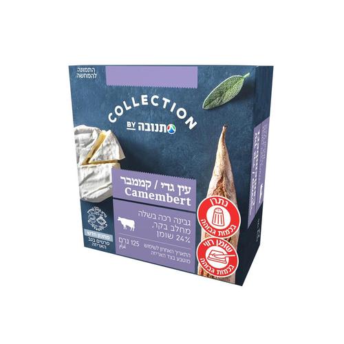 Collection Ein Gedi camembert 24%
