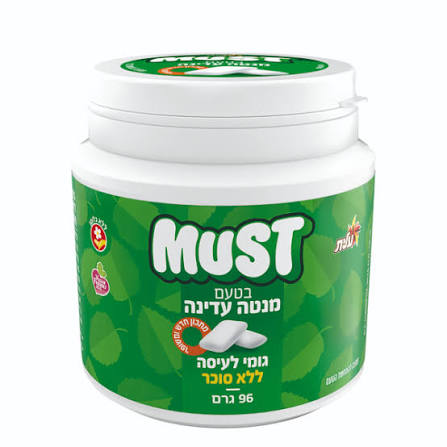 Mast Chewing Gum, Mild Mint Flavor, 96 g