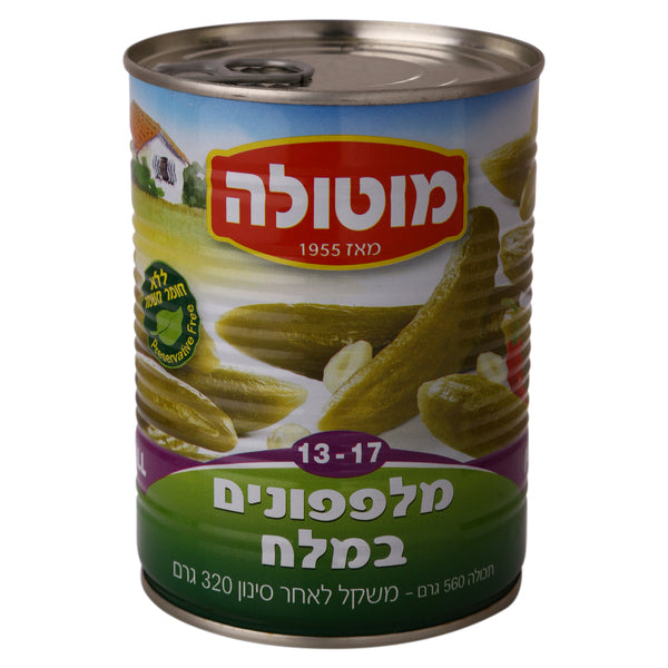 Salt Pickle 13-17 Motola