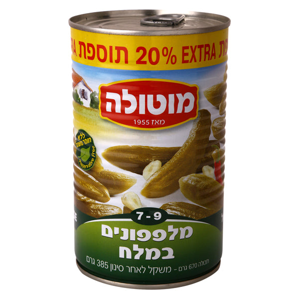 Salt Pickle 7-9 Motola